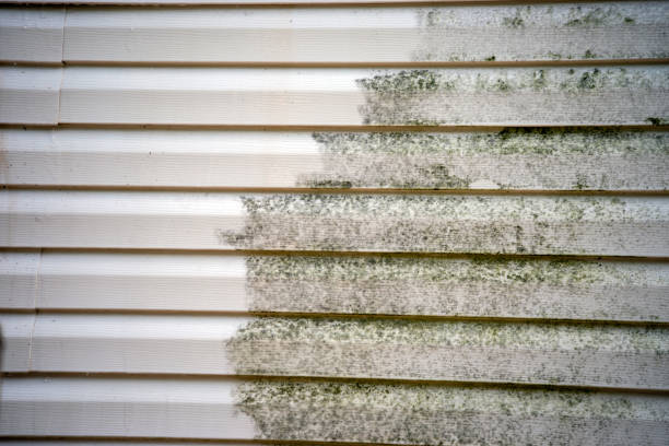 Best Mattress Disposal  in Old Jamestown, MO